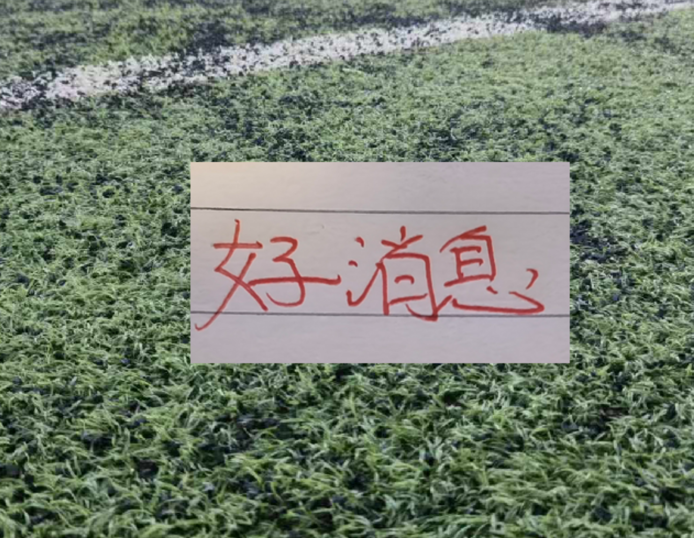 放弃 1 亿罗杰斯!阿森纳盯上世界杯新星,18 岁天才打爆巴西
