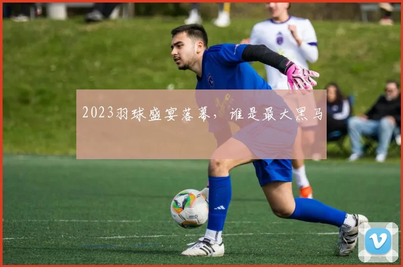 2023羽球盛宴落幕,谁是最大黑马